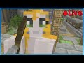 Minecraft - Battle Mini-game - 🔴 Live