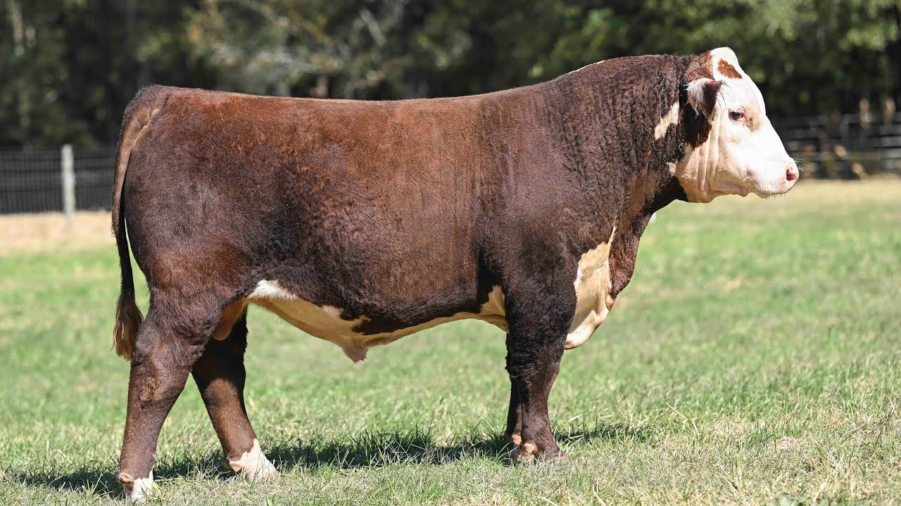 Innisfail Farm Tag 22J YouTube