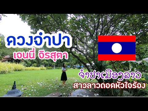 เพลงดวงจำปา  เจนนี่ จิรสุตา สาวลาว-ไทย (ຈຳປາເມືອງລາວ) (Cover Acoustic )