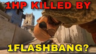1 HP Left Killed by 1 FLASHBANG [ CSGO MOST EPIC MOMENT V2 ]