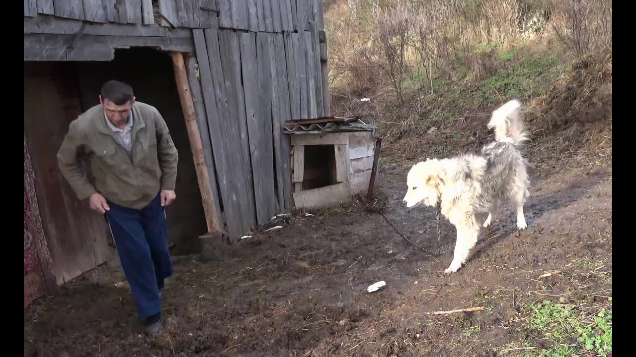 Ženu vidi samo kada se prijavljuje na biro