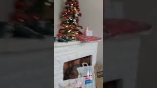 navidaaaaaaaaaaaa aaaaaaaad