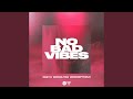 No Bad Vibes (feat. Desvelitas, ZeroSeptDeux)