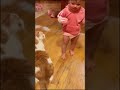 #cat #catsoftiktok #cattok