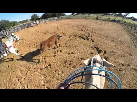 LEGEND: Horsemanship from Trevor Brazile and Patrick Smith - video from EquiSearch