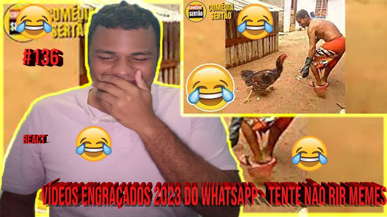 Tente Não Rir Memes ENGRAÇADOS 2023 do WhatsApp #137 