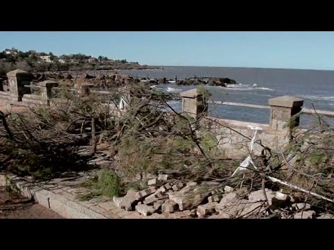 Las consecuencias del viento en Piriápolis