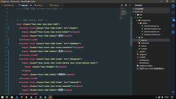 vue js 入门与实战 十一天课程day7 14 项目 实现tabbar路由组件的切换功能