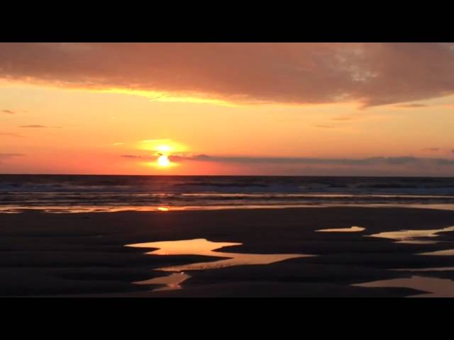 Video 1: 