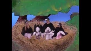 Hi-5 Sharing Stories- Swallows' Flying Lesson