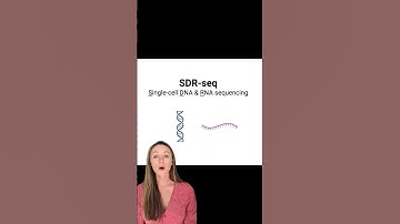 ​@60Second_Science gives a breakdown of their Nature Methods paper showcasing SDR-seq.