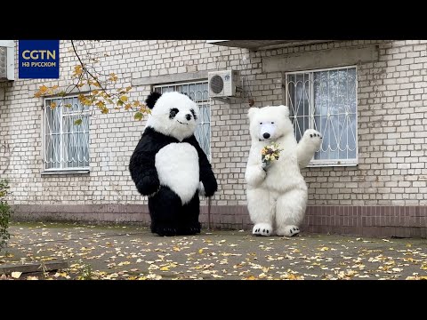 #ДневникМаслака Блокпосты, военные, панда и медведь: жизнь прифронтового города на Днепре