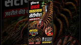 क्या ये दुनिया का सबसे जहरीला कीड़ा है?😱 | centipede facts #facts #shorts #centipede