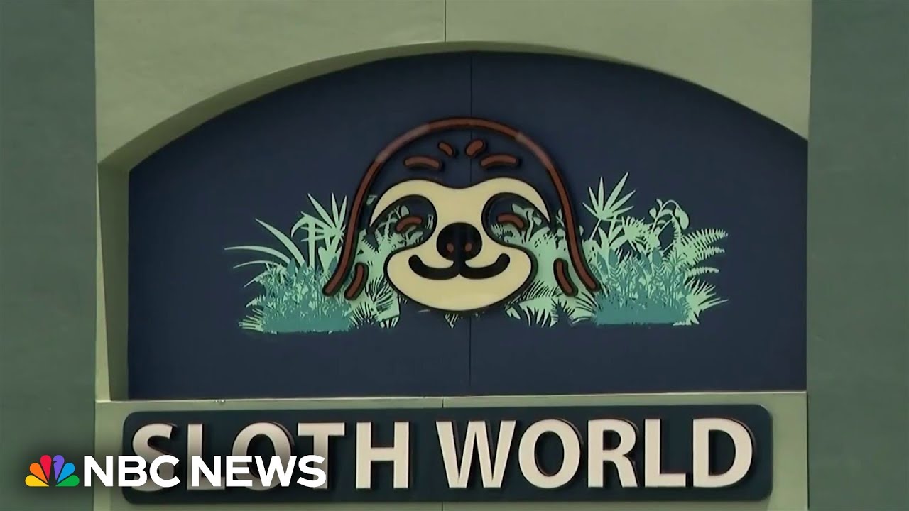 Calls grow to shut down planned Orlando attraction after 31 sloth deaths