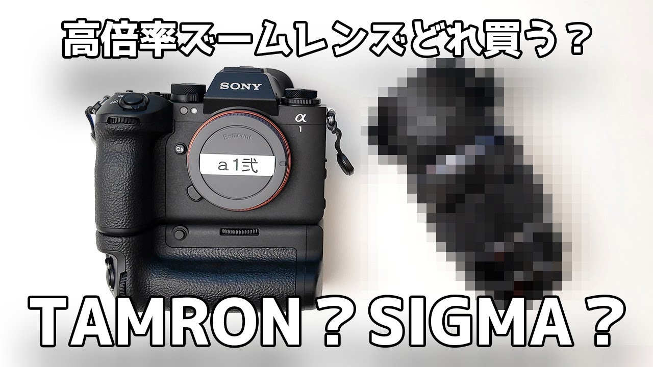 Which one should I buy?] TAMRON or SIGMA high-magnification zoom