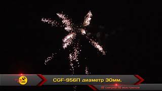 CGF 956П