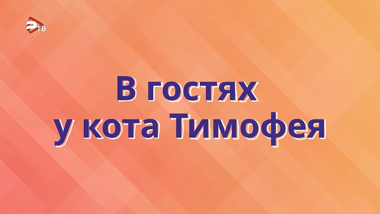 Кот тимофей