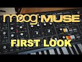 PREVIEW: Moog Muse Synthesizer Overview & Demo