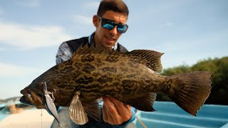 El Mejor lugar para Pescar en Manglares de la Baja- Mag Bay Dia 1