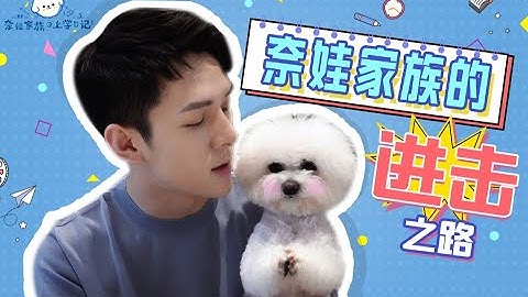 【李佳琦】奈娃家族的上学日记 EP 03 OMG! N姓女明星宅家日常训练曝光！ - 天天要闻