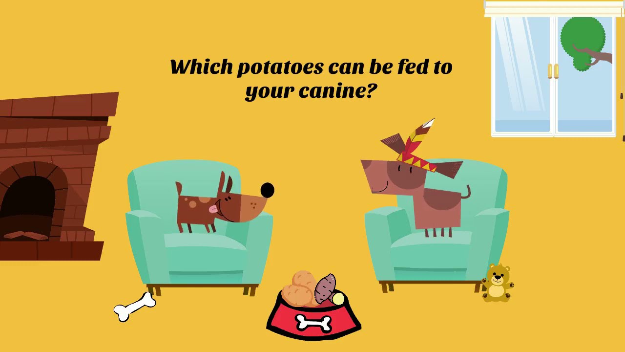 Breaking Down Yams: Which Potatoes Can Dogs Eat?