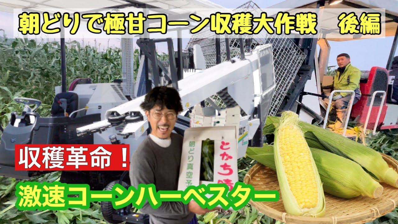ヤンマー】オサダ農機【コーン収穫機】北海道芽室 極甘トウモロコシ