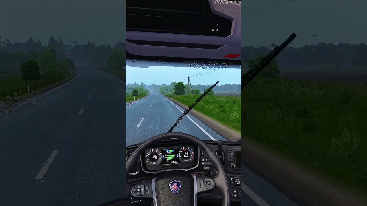 POV: Wet and slippery road -  Euro Truck Simulator 2 