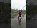#katlafishcatching..