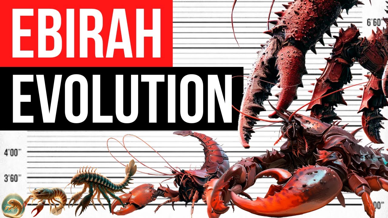Evolution Of The Ebirah | Life Cycle - YouTube