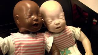 Summer at Ambler: Babysitters-In-Training