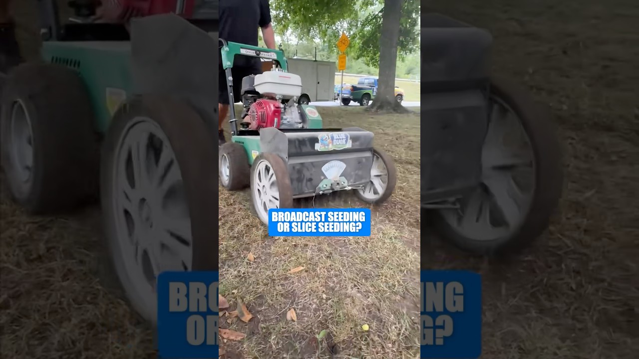 Slice Seeding vs Broadcast Seeding 🌱 Which Actually Works? 