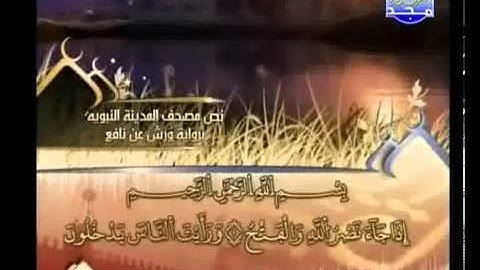 العيون الكوشي   سورة النصر