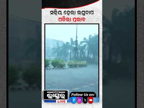 ପଡିଲା ପ୍ରଭାବ, ଅନ୍ଧାର ହେଲା ପୁରା ଭୁବନେଶ୍ୱର! #ytshorts #shortsvideo #odishabhaskar #cycloneupdate