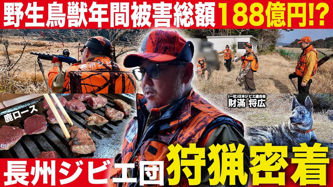 【⚠️狩猟密着】全国で相次ぐ自然鳥獣被害...問題に直面する猟師の1日に密着/長州ジビエ団 団長  財滿 将広