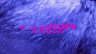 Hwaro347 - Paranoia (Audio)