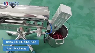 JFP -110A Capsule Polishing and Sorting Machine