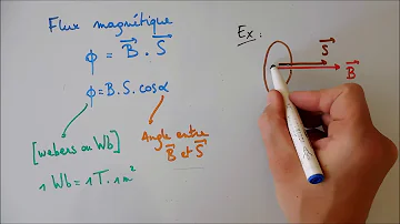 Comment Appelle-t-on l'unité d'induction magnétique ?