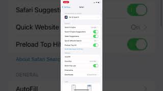 Safari Location Settings - ARTIC PRO screenshot 5