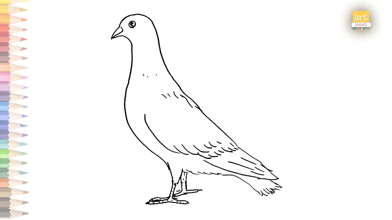 Dove of peace. Ink black and white drawing - Stock Illustration [88200390]  - PIXTA