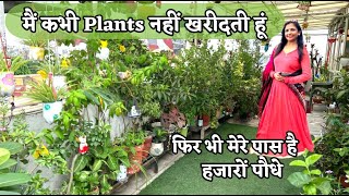 मैं कभी Plants नहीं खरीदती हूं! फिर भी मेरे पास है हजारों पौधे जाने कैसे?