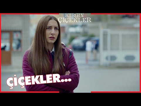 Kırgın Çiçekler Özel Kısa Bölümler | 260