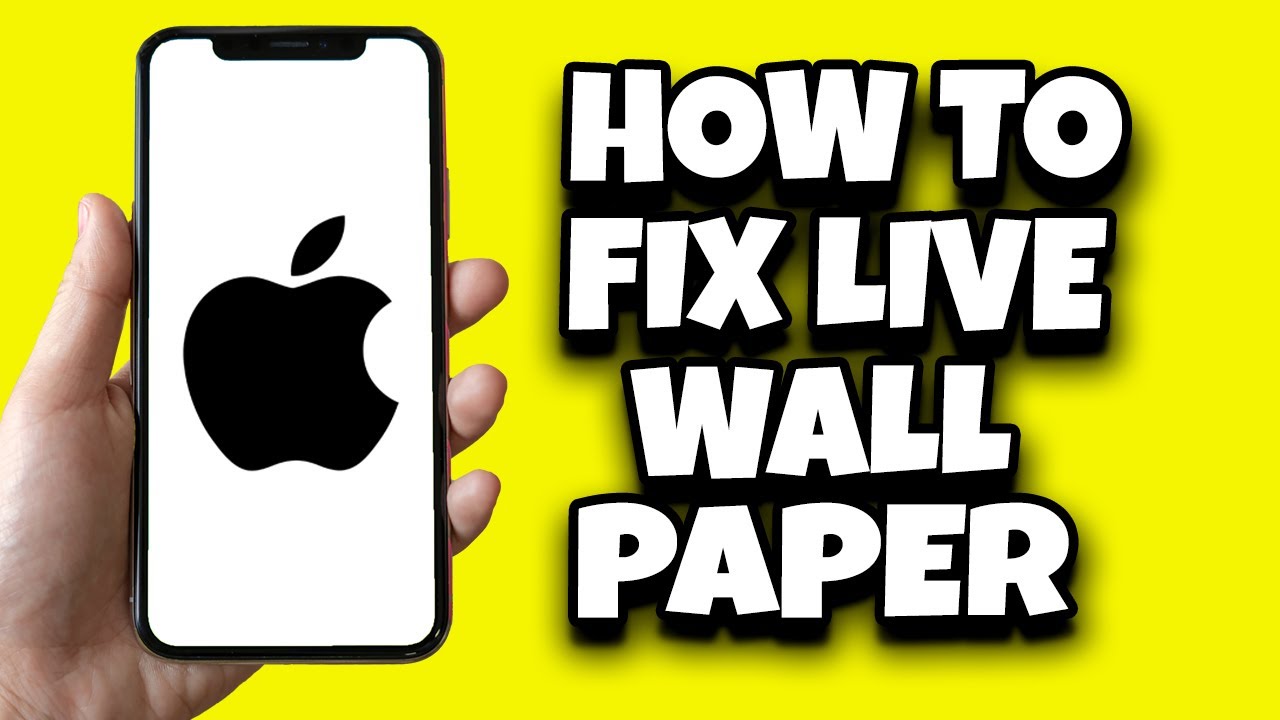 How To Fix Live Wallpaper Not Working On IOS 17 (Solved) YouTube