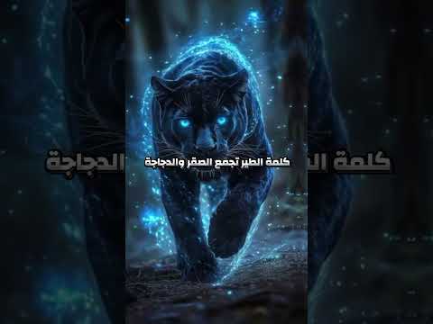 لن نخون أصدقائنا