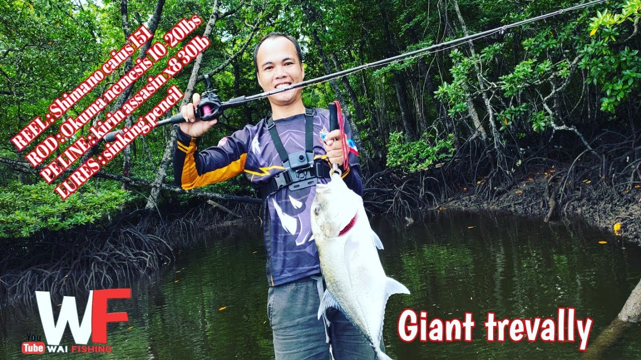 shimano caius casting rod