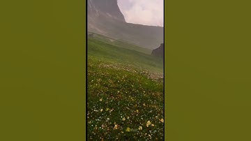 سوره قريش بصوت ماهر المعيقلي #اكسبلور #due #quran #4knature#القرآن_الكريم #تلاوة_خاشعة #راحة نفسية