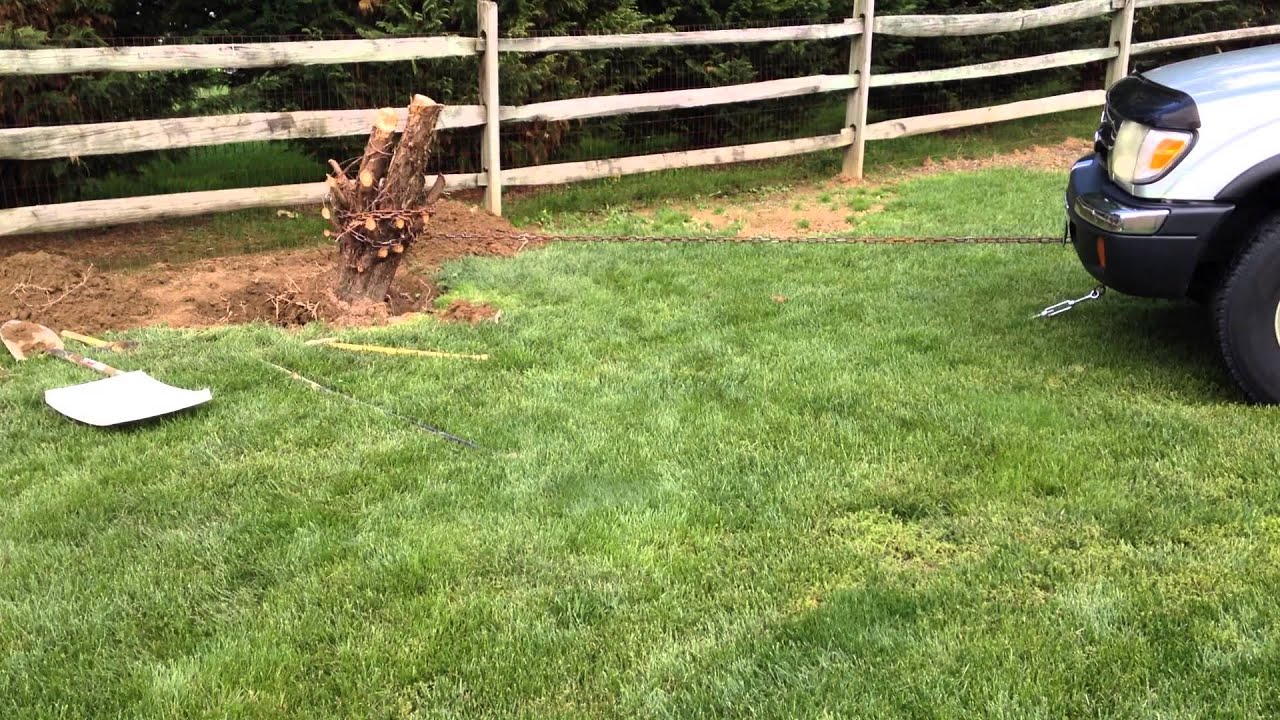 Tree stump removal. YouTube
