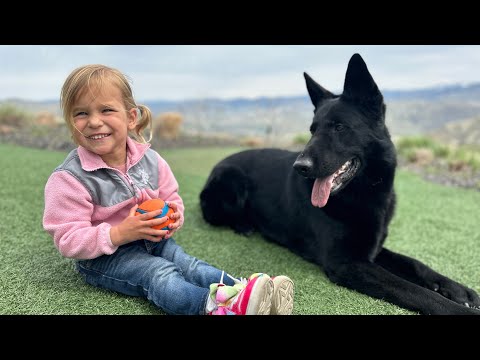 Video: Låssmed erbjuder gratis husdjur och barnräddningstjänster