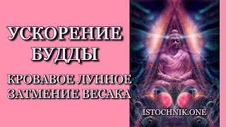 УСКОРЕНИЕ БУДДЫ – Кровавое Лунное Затмение Весака