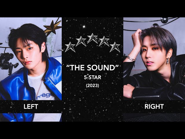 A Different Member Singing in Each Ear - SKZ 5-STAR class=