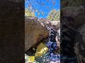 Bloc Targasonne fora de guia dyno 6b+ Gaia #climbing #boulder #bloc #escalada #bloque #bouldering